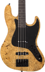 front view of electric bass guitar