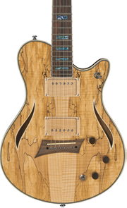 front view of hybrid guitar