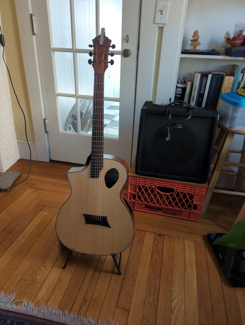 open photo of My new lefty forte port in a popup
