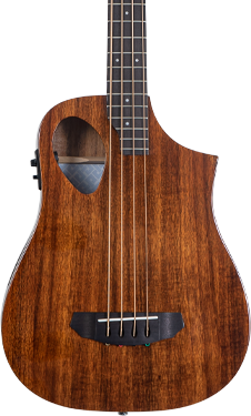 New Guitars At NAMM 2016 - Sojourn Port Acoustic Travel Bass