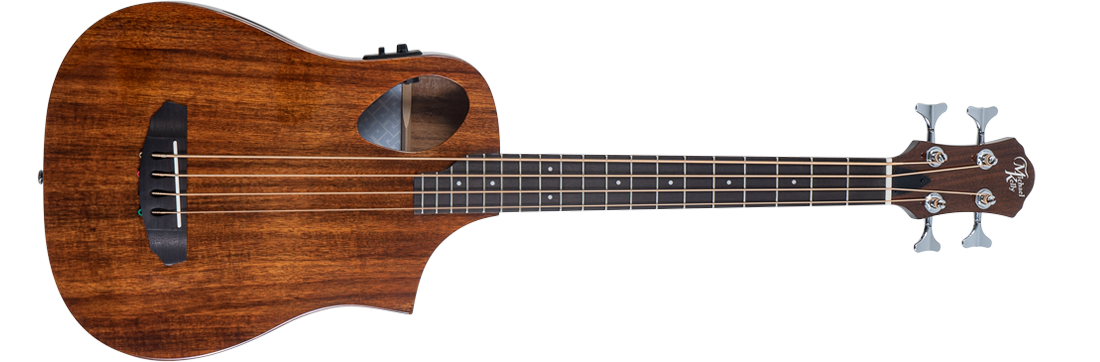 Dragonfly 5 Michael Kelly Guitar Co