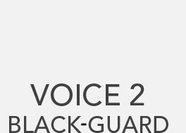voice 2 black guard