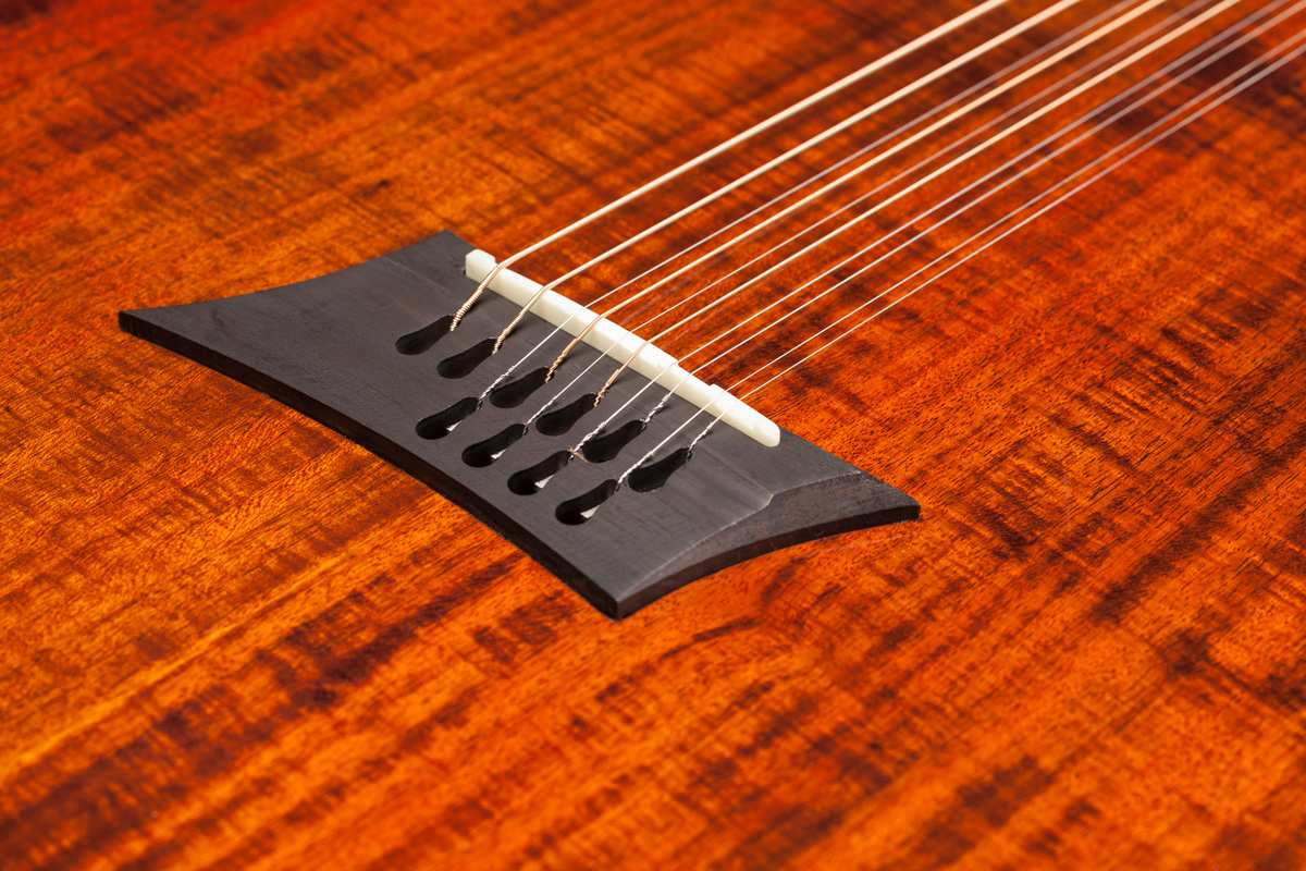 bridge on acoustic 12-string guitar