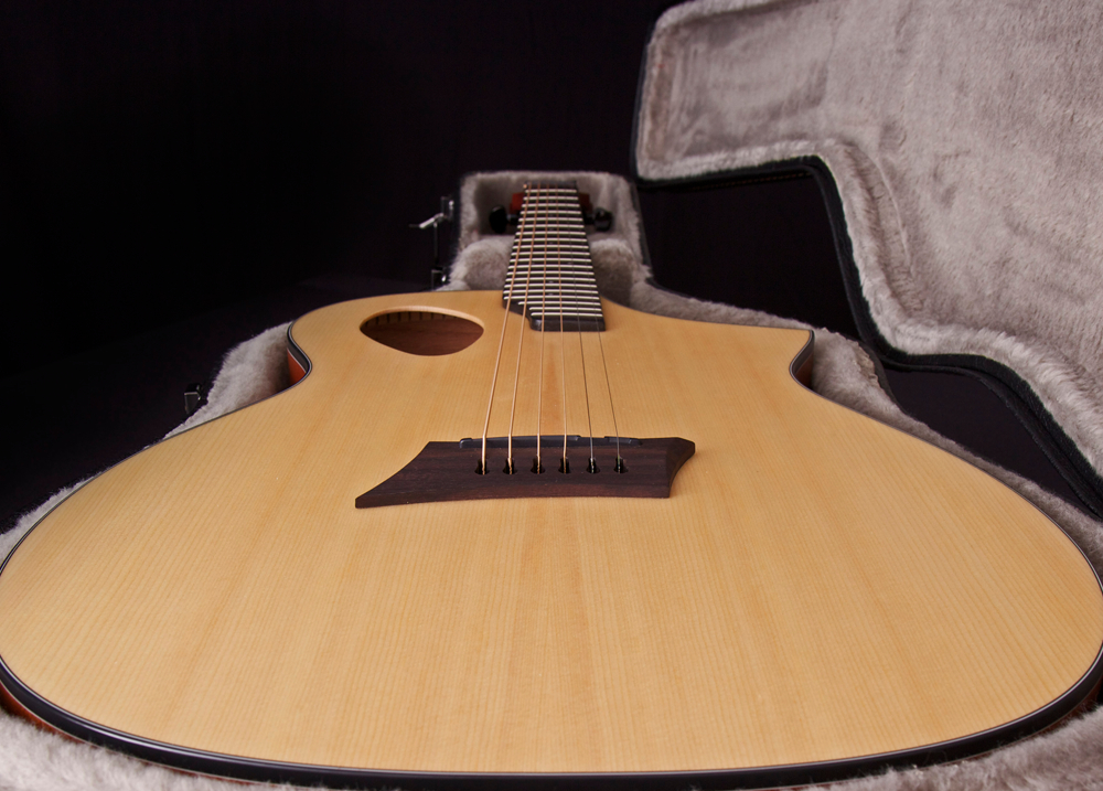 head-on view of acoustic guitar in hard case