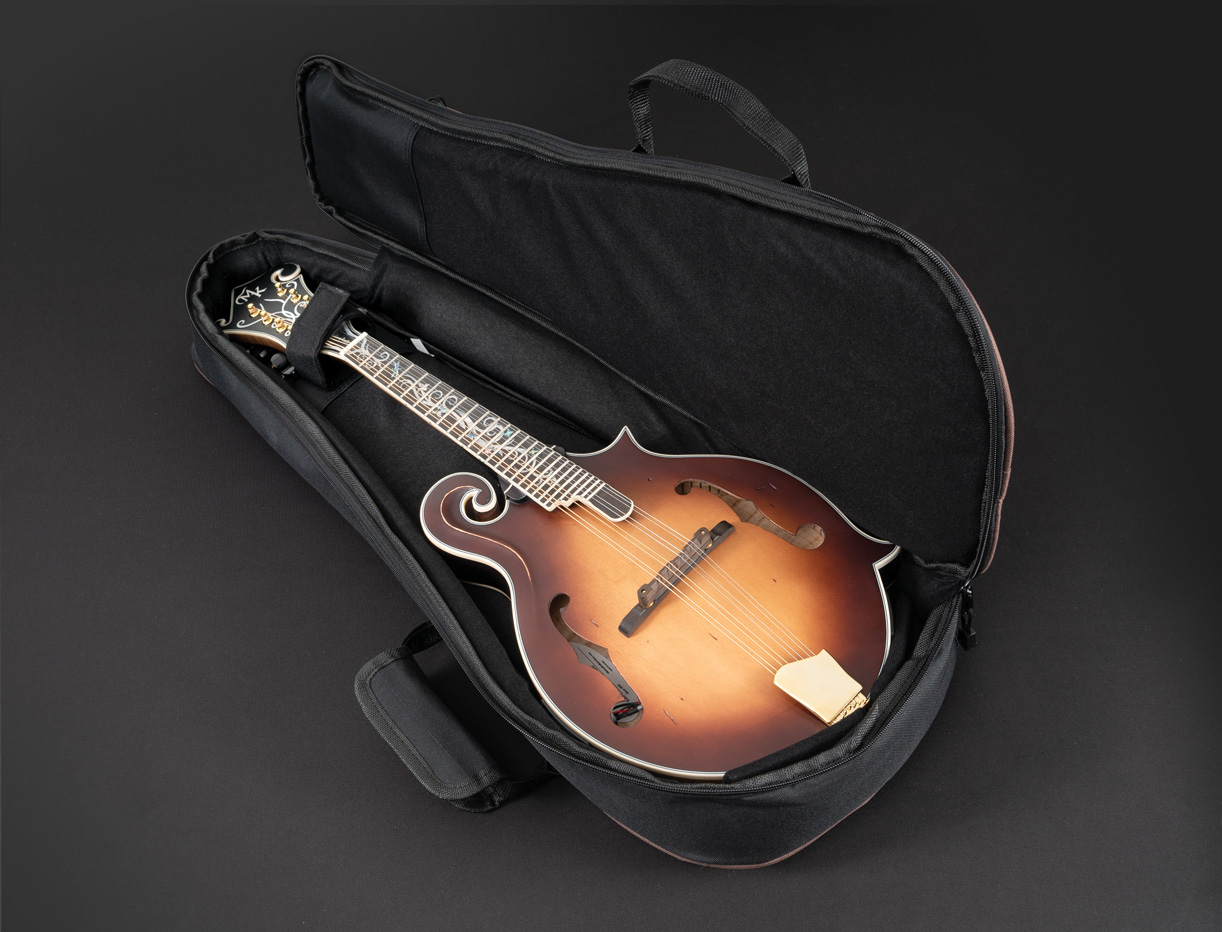 mandolin in gig bag
