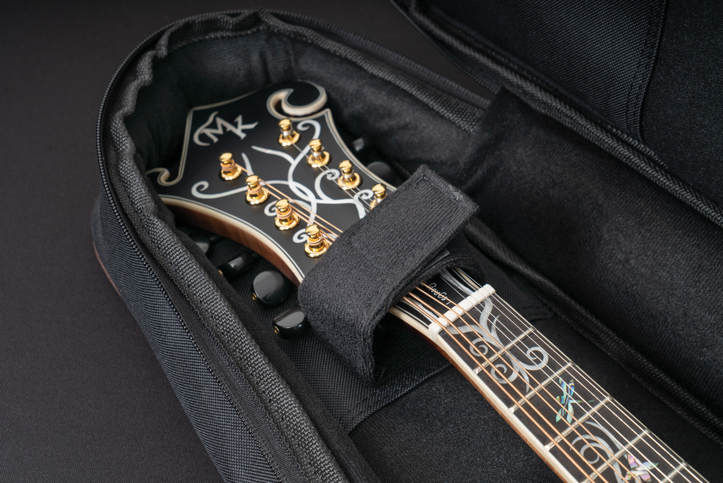 mandolin in gig bag