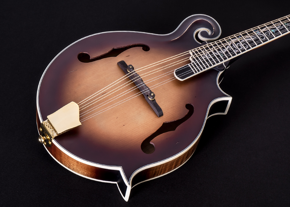 body of mandolin
