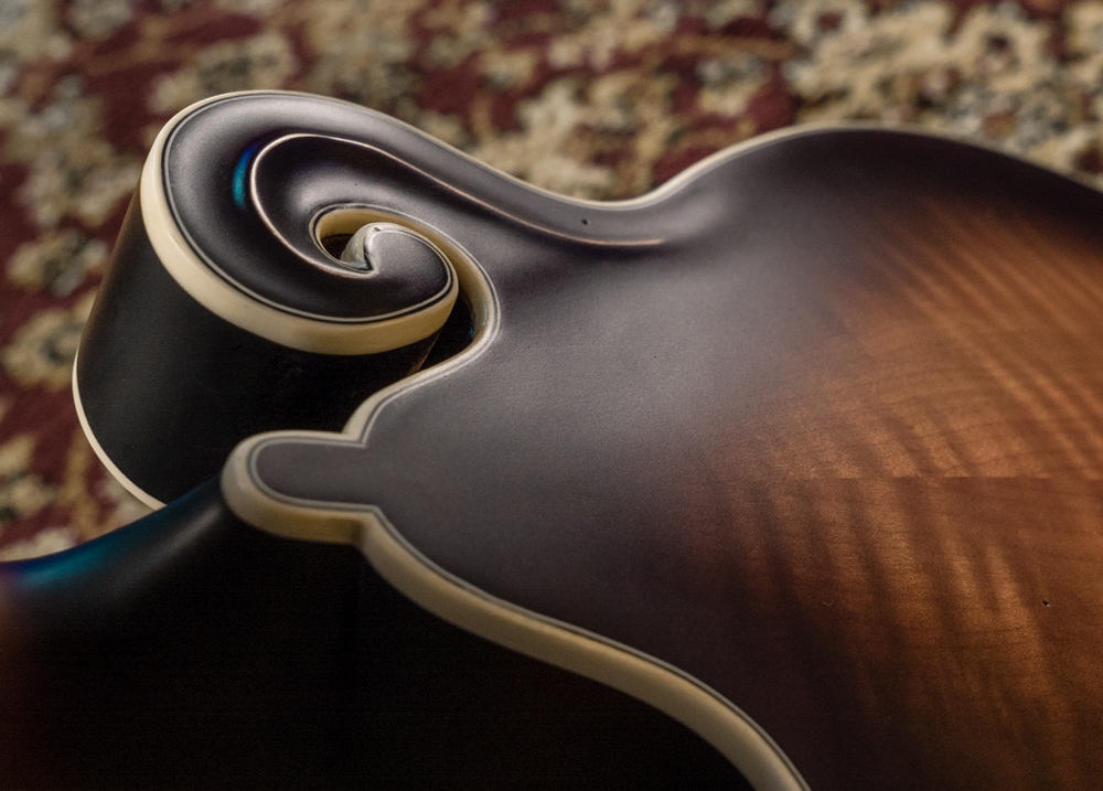 back of mandolin