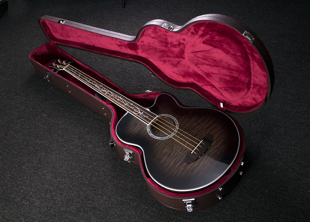 acoustic bass in hard case