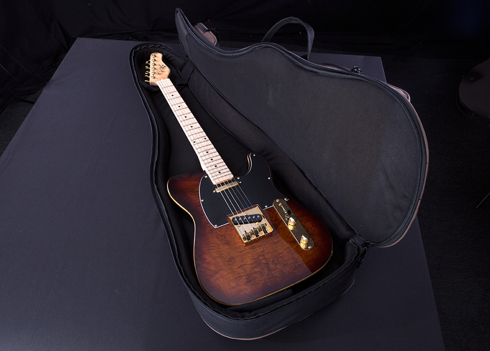 Michael kelly guitar case cheap