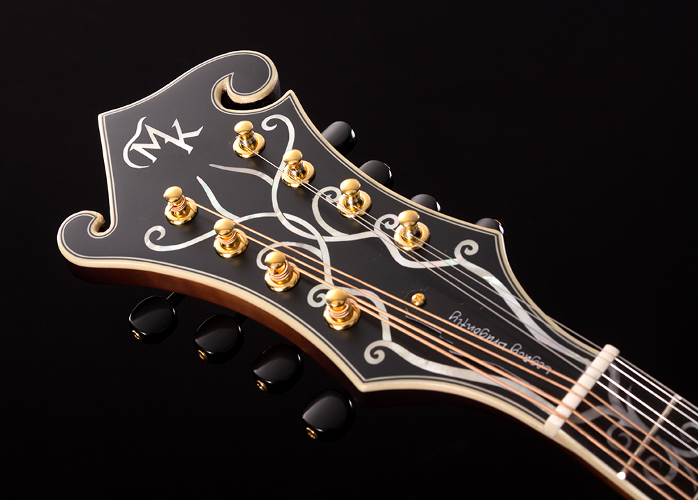 closeup of mandolin headstock