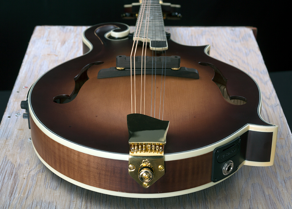 mandolin neck