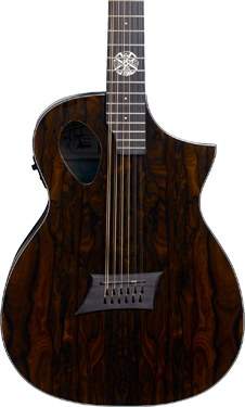 Mod Shop Forte Port Exotic JE acoustic guitar