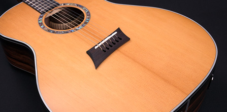 torrefied acoustic guitar